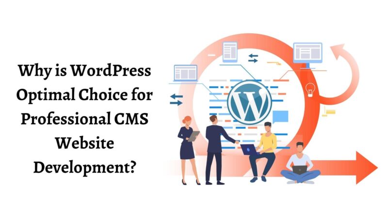 WordPress Optimal Choice